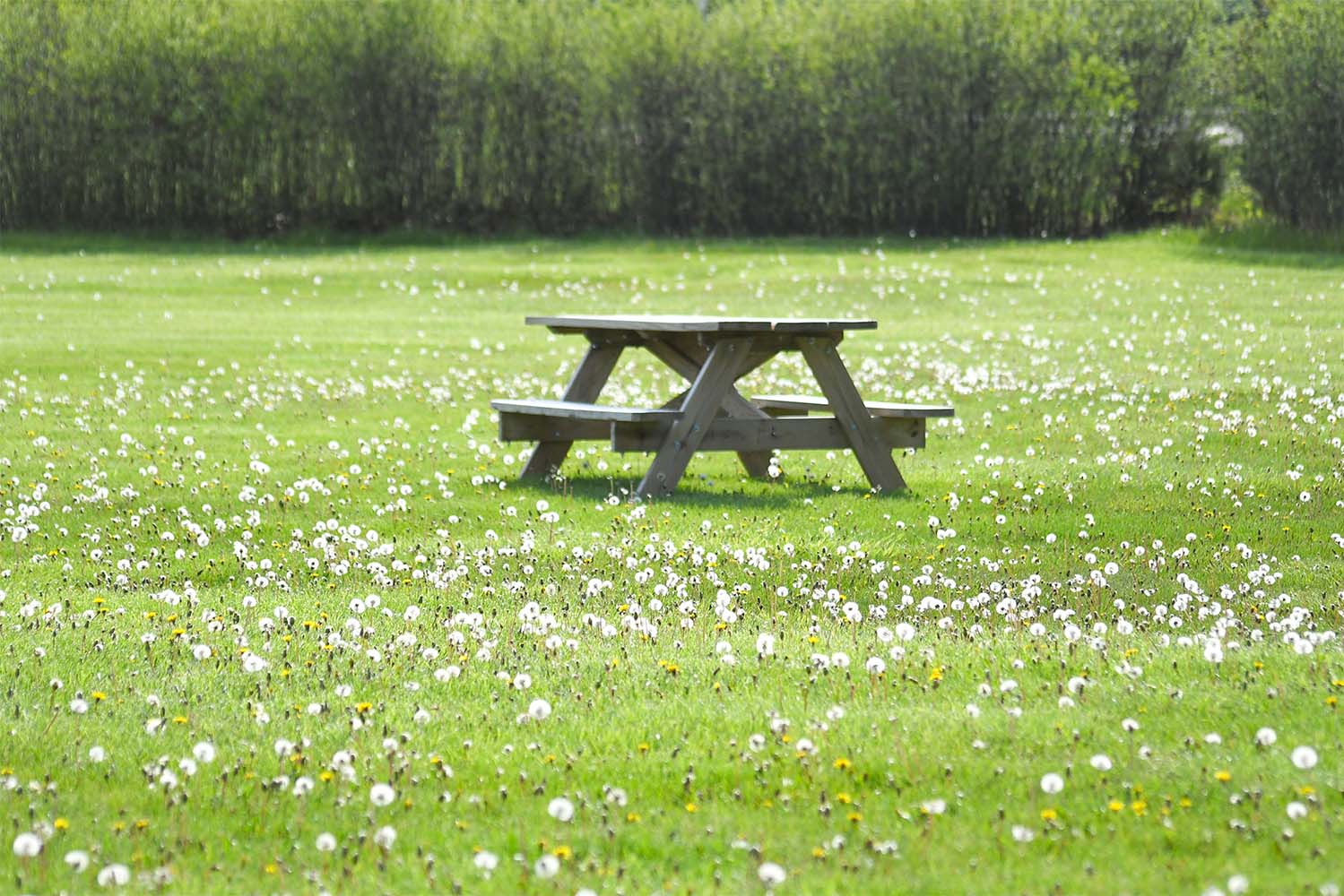 bench in a park
